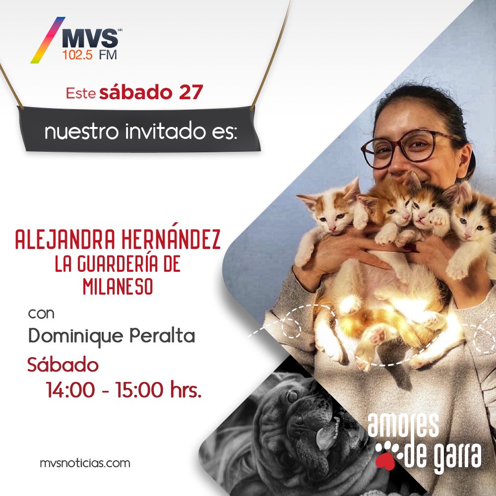 ¿Alguna vez le han negado la entrada a tu perrito de asistencia? ¿Qué se puede hacer en esos casos? Mañana exploramos el tema y sus alternativas. Además, te contamos qué tan buena idea es que los niños tengan a un gato como mascota 😺 En vivo mañana a las 2 pm por @MVS102_5