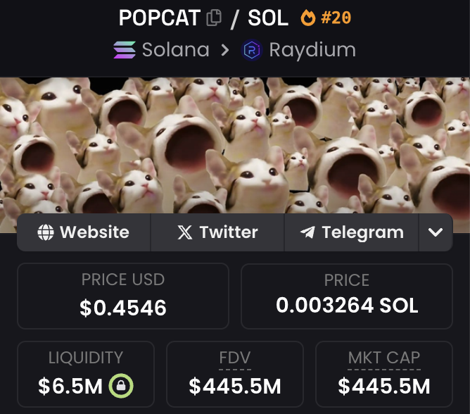 guys, please please PLEASE be careful buying the low liquidity coins the twitter cabal feeds to you. 

i have 10ms in $popcat, i can't even dump 1m right now without completely destroying this thing. 

i am NOT the only one either. 

this whole pump is a tiny group longing perps