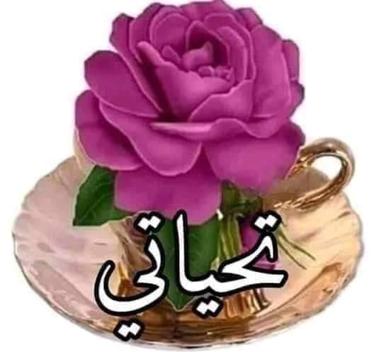 @hanaesam98 @22ha_na_ @hh_gsm35115 @maheralthailee @gazawi01 @Ghzh_just @alngm2221 @cccppkk @Shbah1Al @pphhppu @salmaa1457 @medo5307244 @Aa1234567889013 @Aeeee511 @gnobefree @Az84862783Az @almalek7111 @AlahmdyMsyr @Mabandeh2015 @11J7J1 @saeedsaleh95 موفقين ان شاء