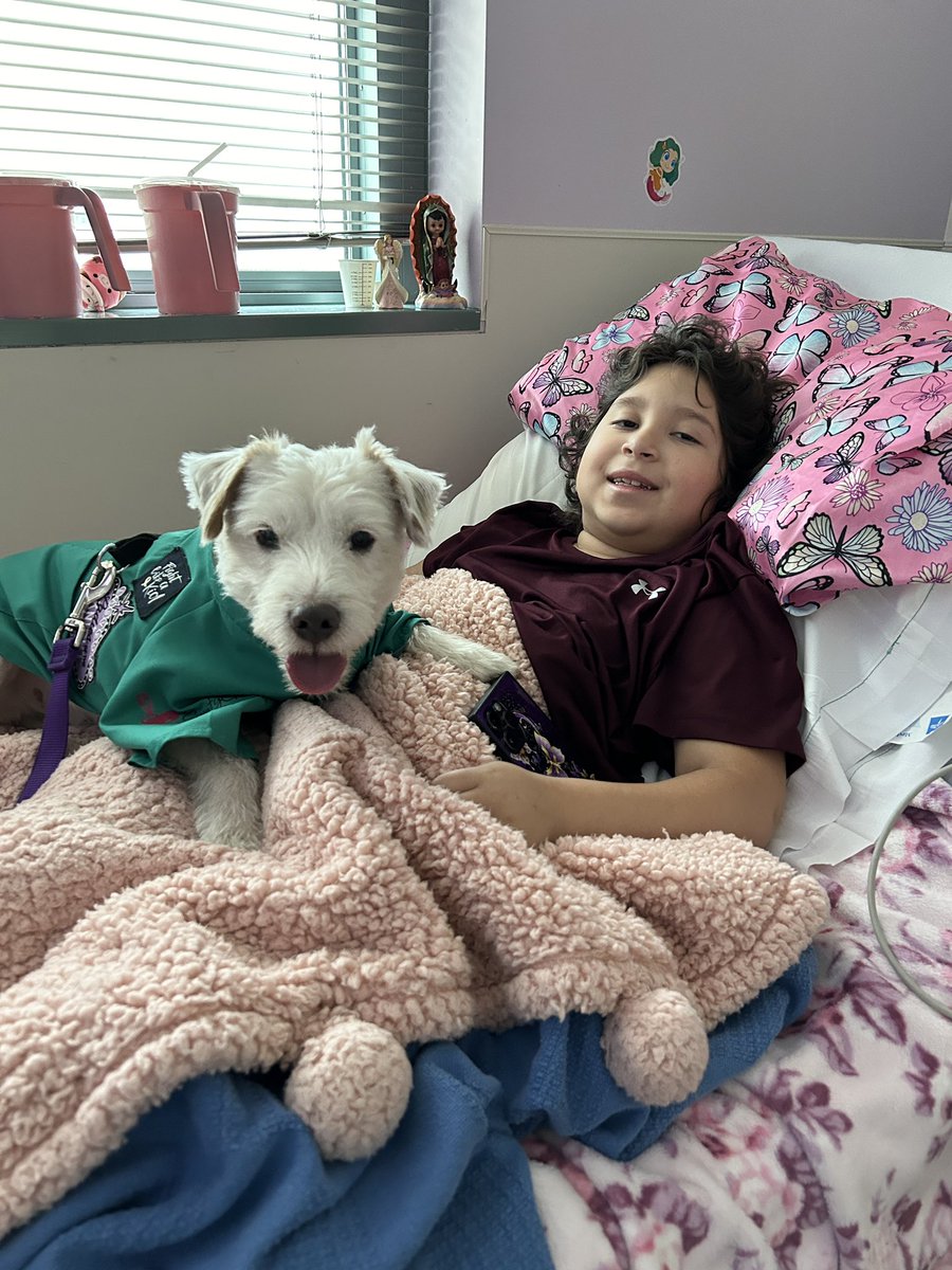 Today on my rounds at Summerlin Hospital I stopped by the Dogtor’s Lounge, visited the Children’s Medical Center, and spent time with friend Gigi! 
Have a great weekend everyone!
~ Deke🐾
#TherapyDog
#IAmATherapyDog
#PawYouNeedIsLove