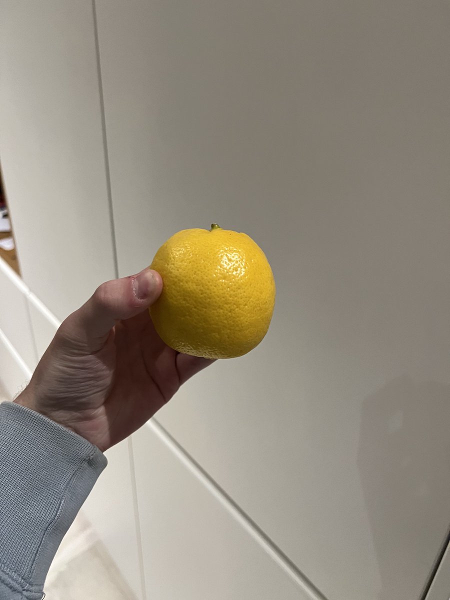 Est-ce vraiment un citron 🍋 ?