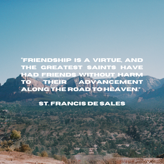 'Being in the image of God the human individual possesses the dignity of a person, who is not just something, but someone.' CCC 357 Let us continue to grow in friendship with one another alongside Christ. #focuscatholic #friendship