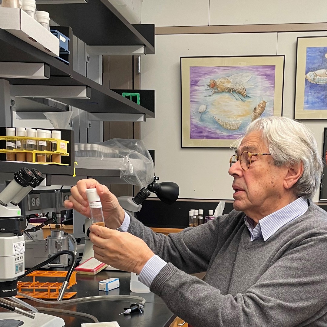 Congratulations Spyros Artavanis-Tsakonas of @harvardmed, newly inducted #NASmember! #NAS161 #biology #genetics