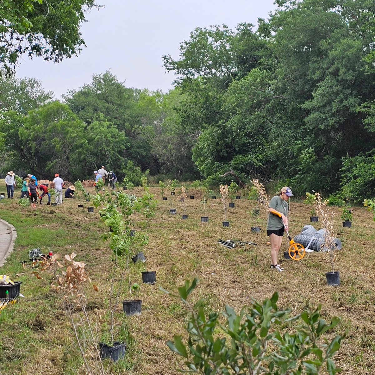 Thank you to everyone who joined us in supporting the @ArboretumSan to plant 125 trees today! What an awesome way to celebrate #ArborDay!