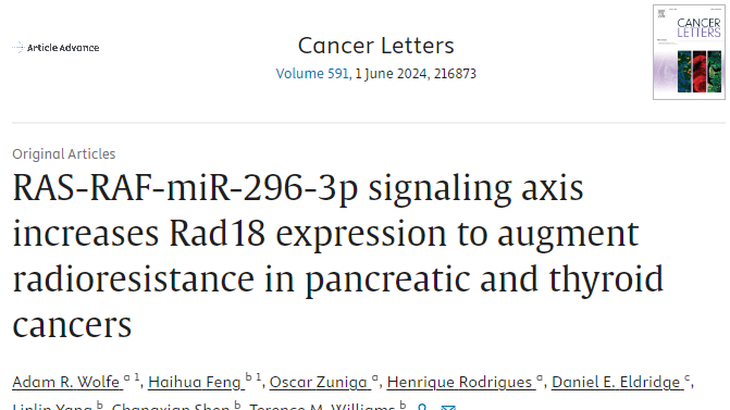 Congrats to the tag team @AdamWolfeMDPhD & Haihua Feng on their publication implicating RAD18 in radioresistance☢️downstream of RAS/RAF-driven  PDAC & thyroid tumors❗️ RAS/RAF signaling drives RAD18 expression which is regulated by miR-296-3p. #radbio sciencedirect.com/science/articl…