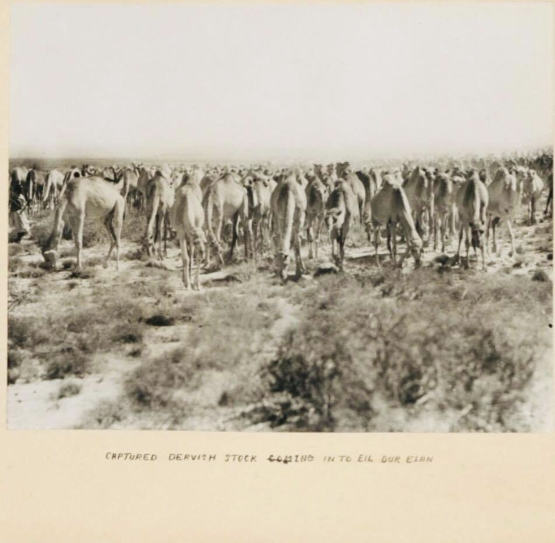 In tact Taleex, Taleex being bombed from the air and thousands of livestock looted from Taleex Please donate to the campaign to preserve our history of the struggle to free Somalia DONATE through the link 👇 gofund.me/ed68e7fd