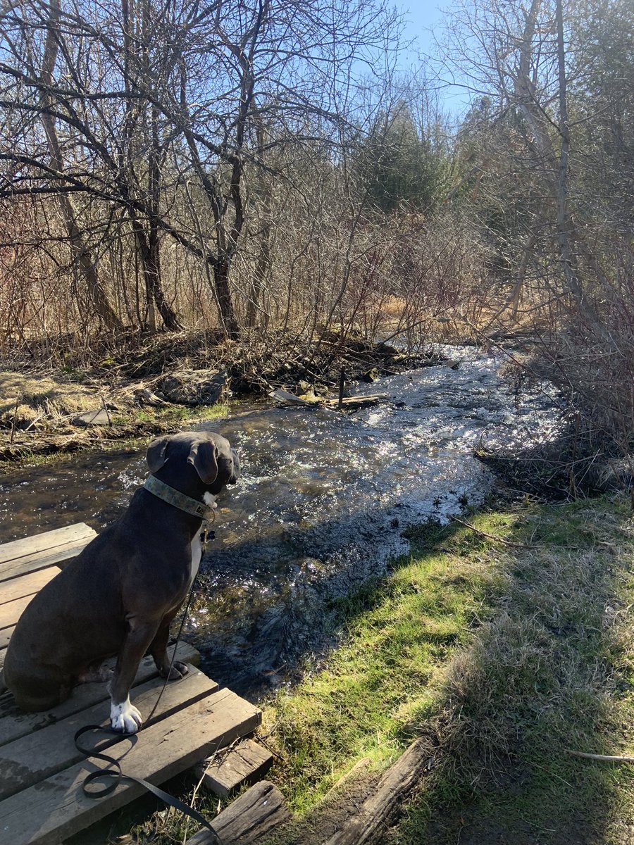 Look at the Big Brain on Brad tweet media