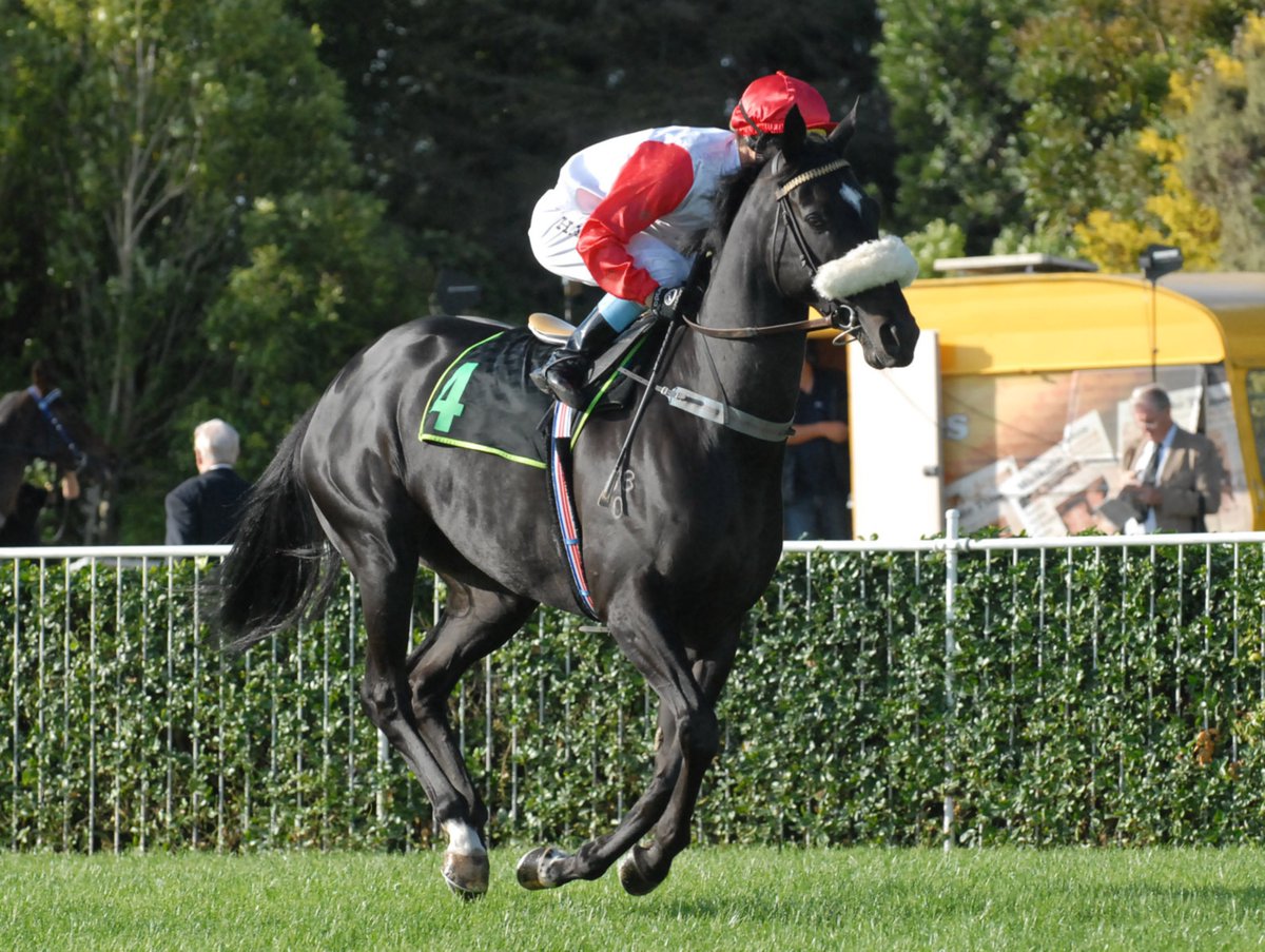 It might be 17 years (2007) since my lovely mare SARAJAY won the Group 2 Travis Stakes, but trust me, it feels like yesterday. It was my first Black Type victory in my own colours and a day I'll never forget. Noel Harris & Sarajay heading to the start in the 2007 Travis Stakes.