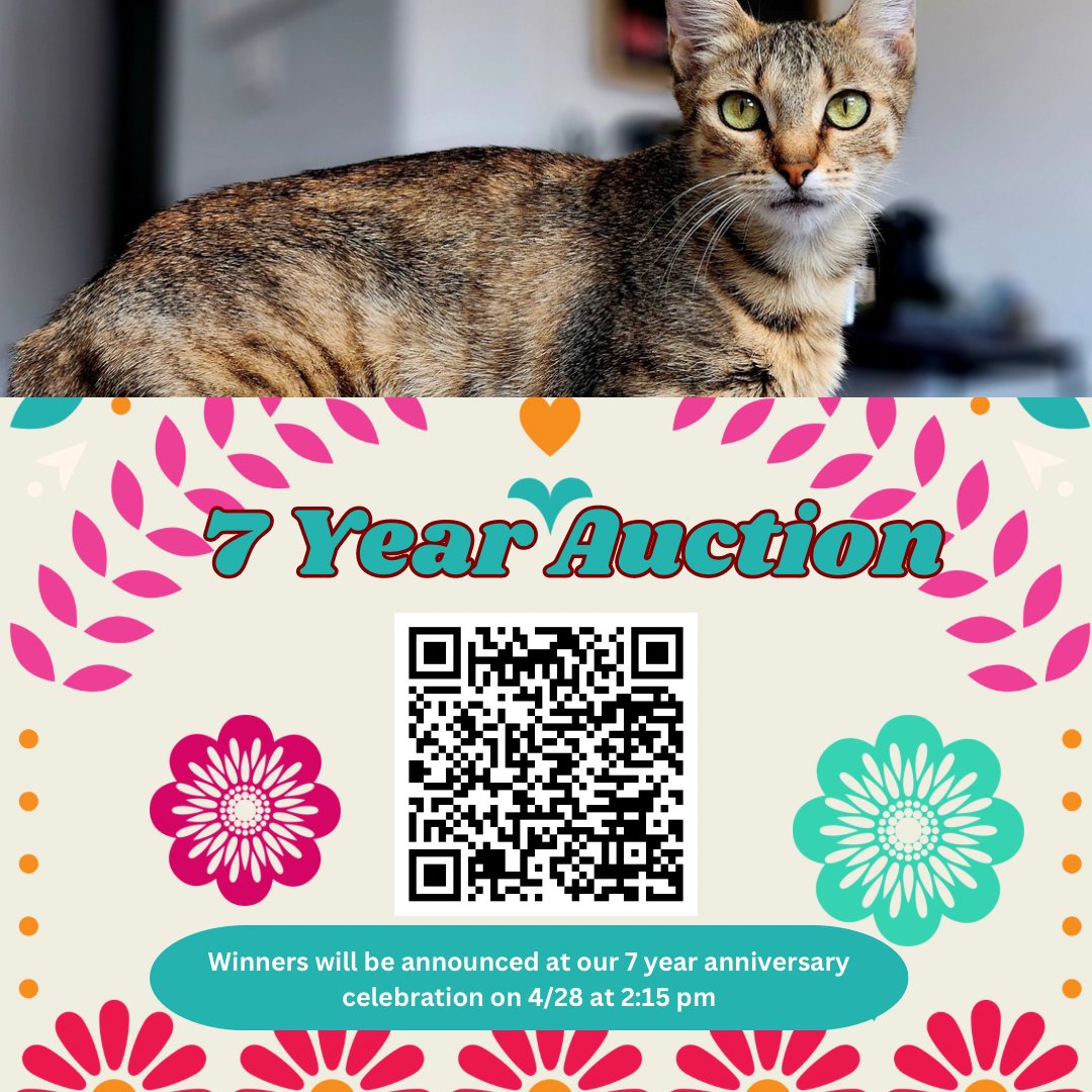 Mew Auction Items added to our 7 Year Anniversary Auction! Check it out & place your bids at bit.ly/3Qh6wTa 😺 Auction closes on 4/28 at 2:15pm. Winners will be announced and can pick up winnings at our 7 Year Anniversary Celebration. #adoptdontshop #elgatocharities