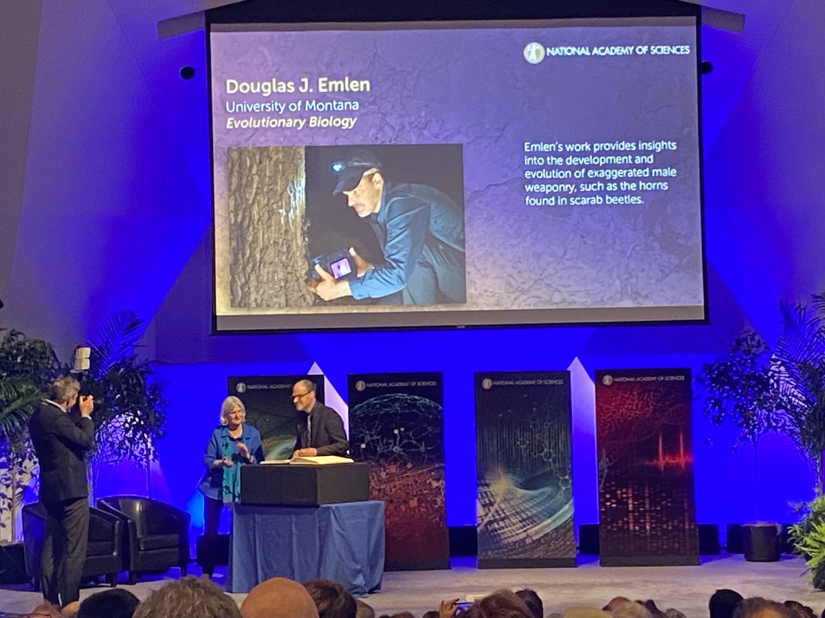 Thrilled to see Doug Emlen inducted into the National Academy of Sciences this evening! #NAS161