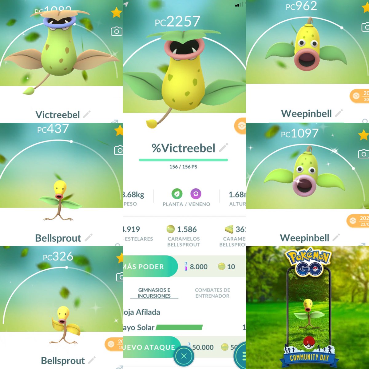 This community was meh,😎 I did find good iv’s, ✅ good shiny, ❌100%, attack moreless… I really want another pokemon, I had the perfect before. #PokemonGO  #CommunityDay #pokemon #Bellsprout 7/10