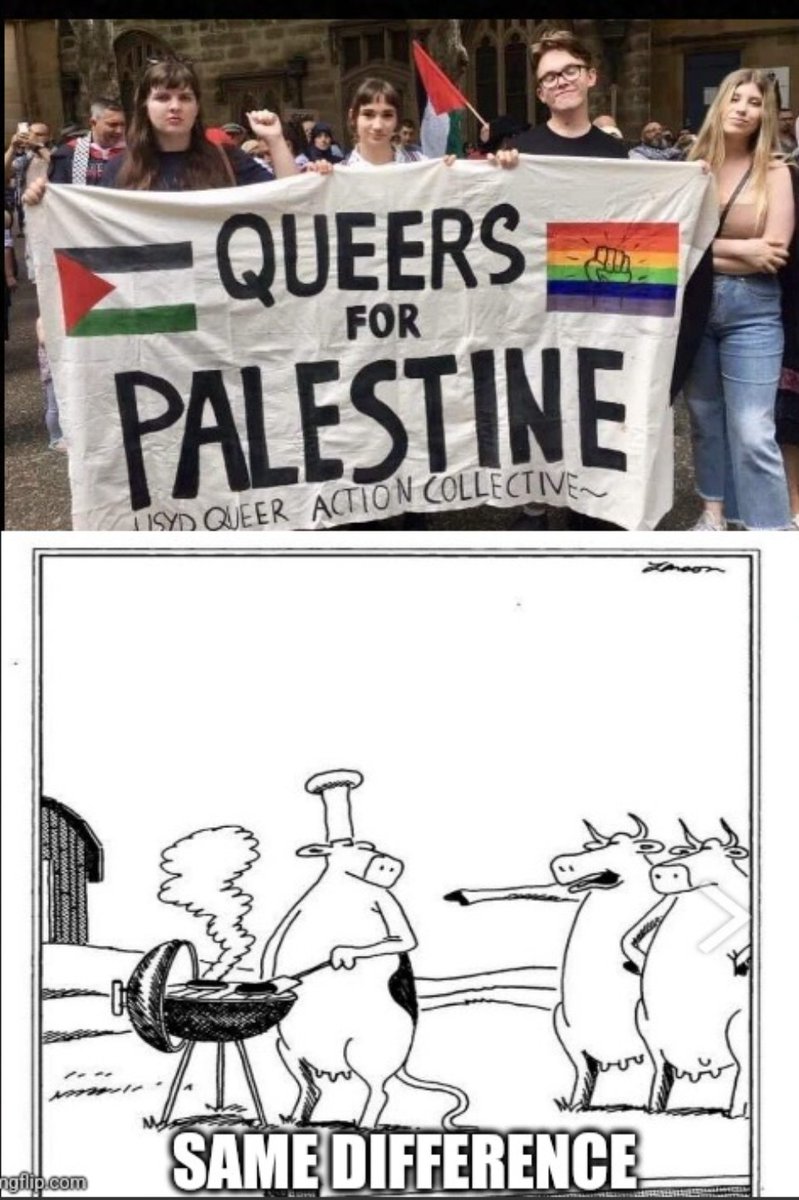 #queersforpalestine #LGBTQ #GazaProtests