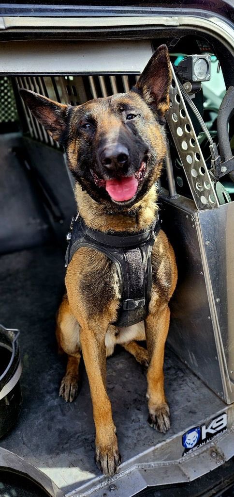 Apr.23, patrol officers encountered an armed suspect who refused to drop the weapon and comply with officers. #psdhutch was deployed to make the arrest. 1 in custody.