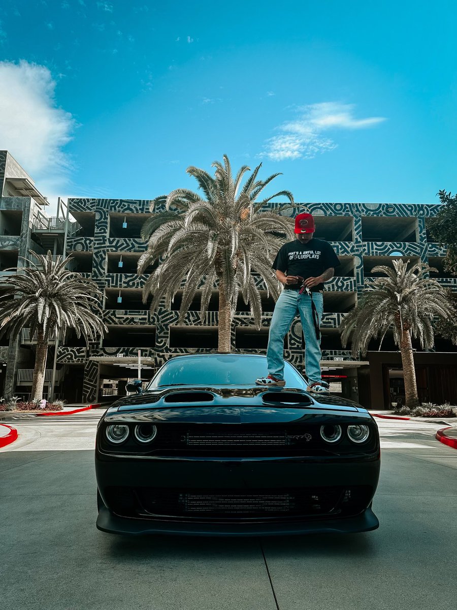 GINO AMARI 🦍 tweet media