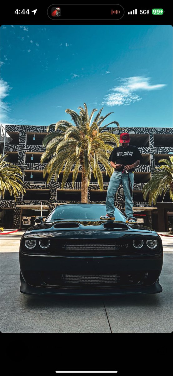 GINO AMARI 🦍 tweet media