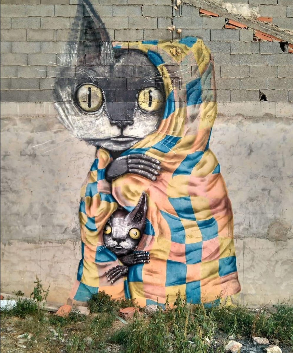 Happy 
🐾
    🐾
        🐾 Caturday 🐈 
#StreetArt #art #urbanart  #mural  #photography #cat #Israelpalestine #caturdayMood
#catlovers
