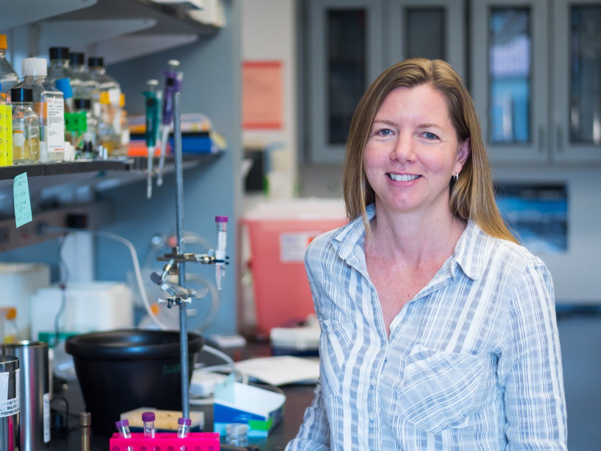 Congratulations Gia Voeltz of @CUBoulder and @HHMINEWS, newly inducted #NASmember! #NAS161 #molecularbiology #cellbiology