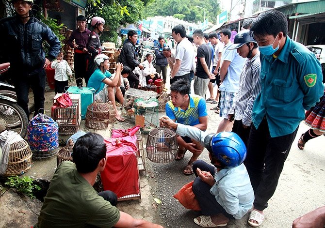 Thangnguyen.hp tweet media