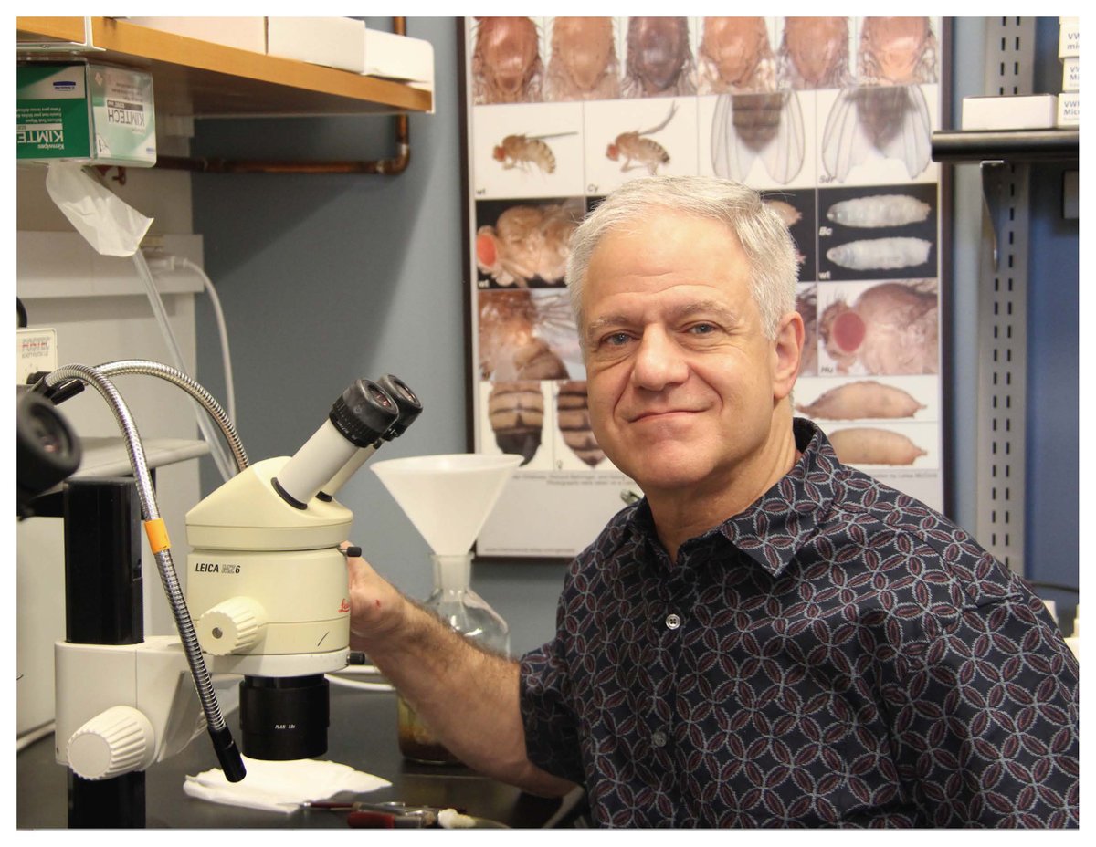 National Academy of Sciences (@thenasciences) on Twitter photo Congratulations Phillip Zamore of <a href="/UMassChan/">UMass Chan Medical School</a>, newly inducted #NASmember! #NAS161 #genetics #medicine Congratulations Phillip Zamore of <a href="/UMassChan/">UMass Chan Medical School</a>, newly inducted #NASmember! #NAS161 #genetics #medicine
