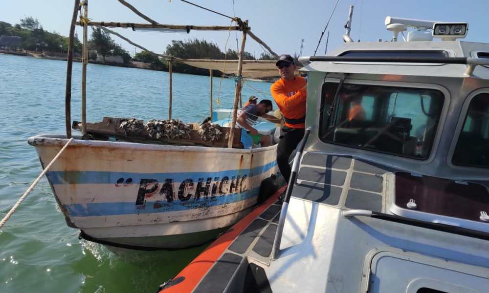 Remolca la Marina embarcación pesquera por falla mecánica frente a Yucalpetén dlvr.it/T64J36