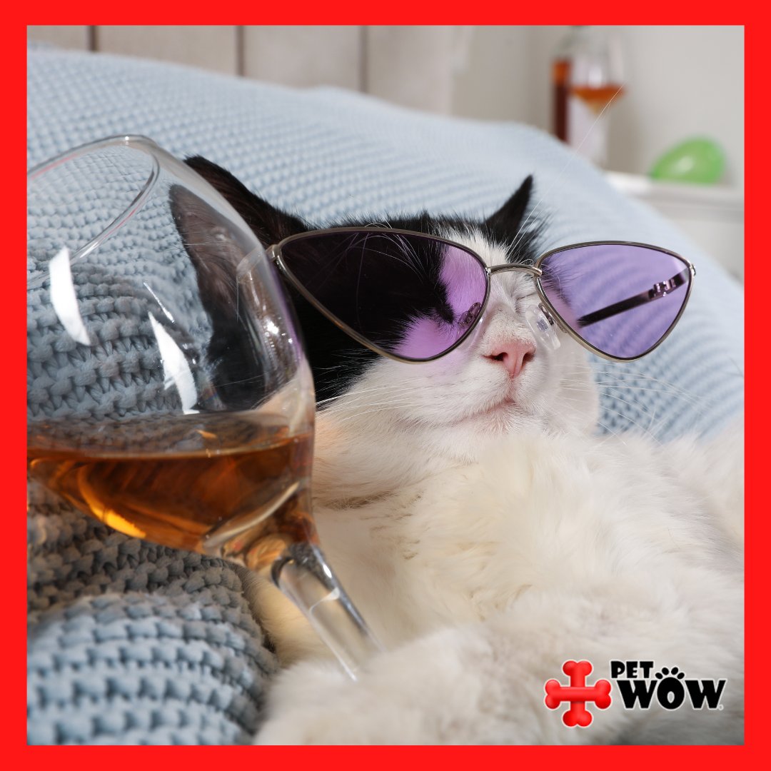 Fri-Yay is here! Who's pumped for some much-needed R & R? #weekendvibes #catmemes #finallyfriday