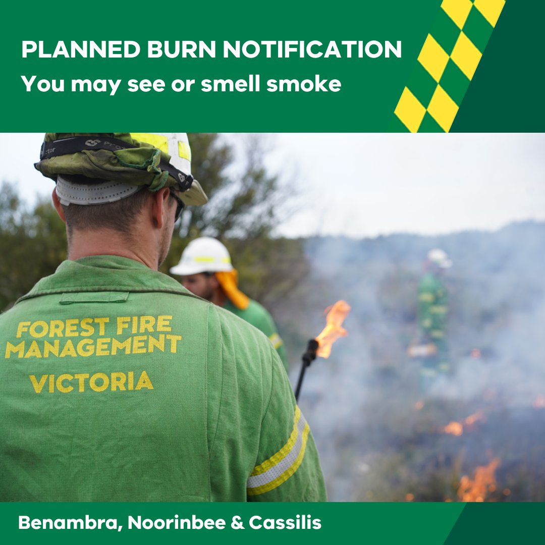 Our crews are #PlannedBurning at Noorinbee, Benambra and Birregan State Forest (20km W Cassilis) over the next few days. You may see or smell smoke. More info at: plannedburns.ffm.vic.gov.au #FFMVic