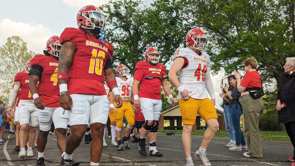 GORILLA WALK SPRING GAME STYLE.