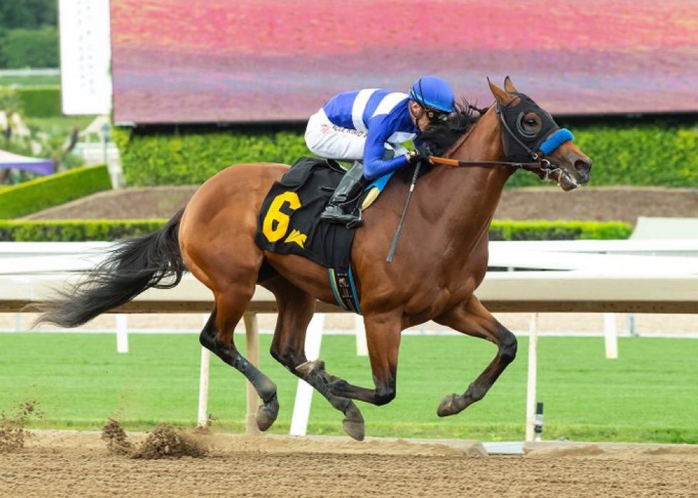 Our only 2yo purchase of the year sparkles on debut. Parenting, a dominant winner at Santa Anita for @BobBaffert We love a good son of Justify @GandharviRacing