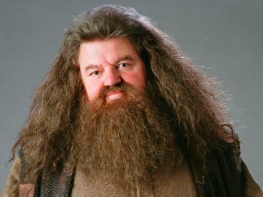 Levantem suas varinhas. Morreu hoje, aos 95 anos, José Santa Cruz, ator, dublador, comediante e radialista. Entre tantos papéis e personagens, José Santa Cruz deu vida a Rubeus Hagrid em Harry Potter. Sua voz sempre será lembrada por seus fãs. 'Você é um bruxo Harry'