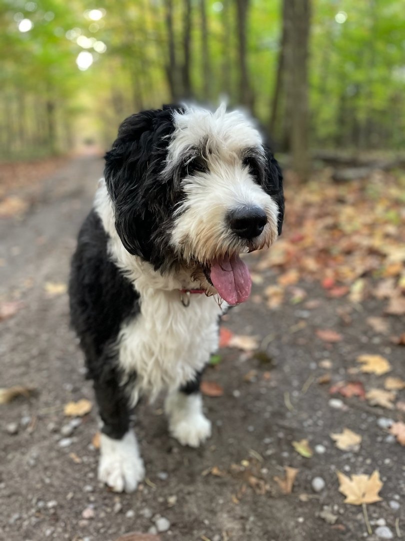 Jim Walker tweet media