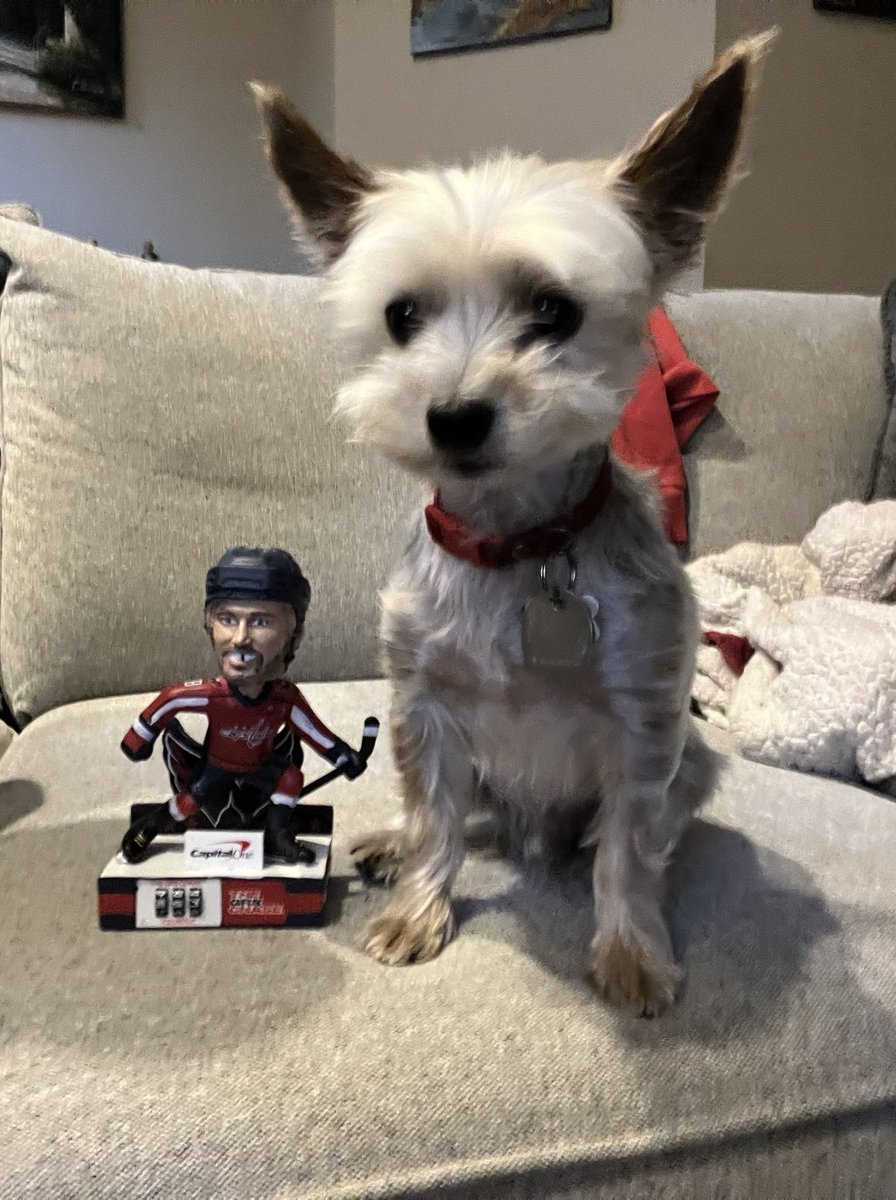 roaminrn's tweet photo. Nicky Barkstrom is hanging with Ovi to help him out #ALLCAPS https://t.co/hdgzM5iv6s