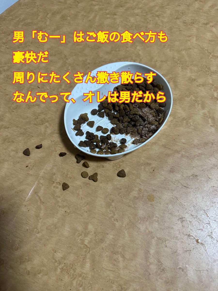 61012Kao's tweet photo. #ムサシ
 #むー https://t.co/euaBLOZhq9