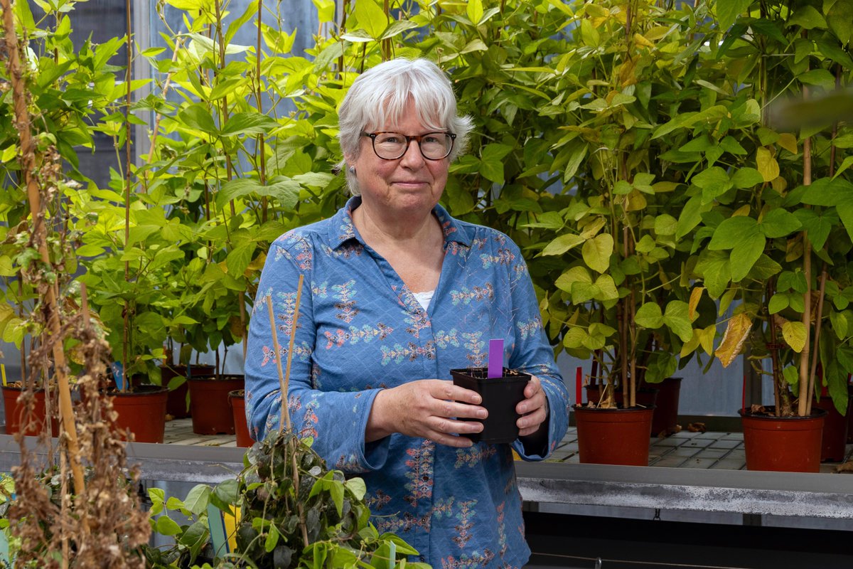 Congratulations Jane Parker of @mpipz_cologne, newly inducted NAS international member! #NAS161 #NASmember #genetics #plantbiology