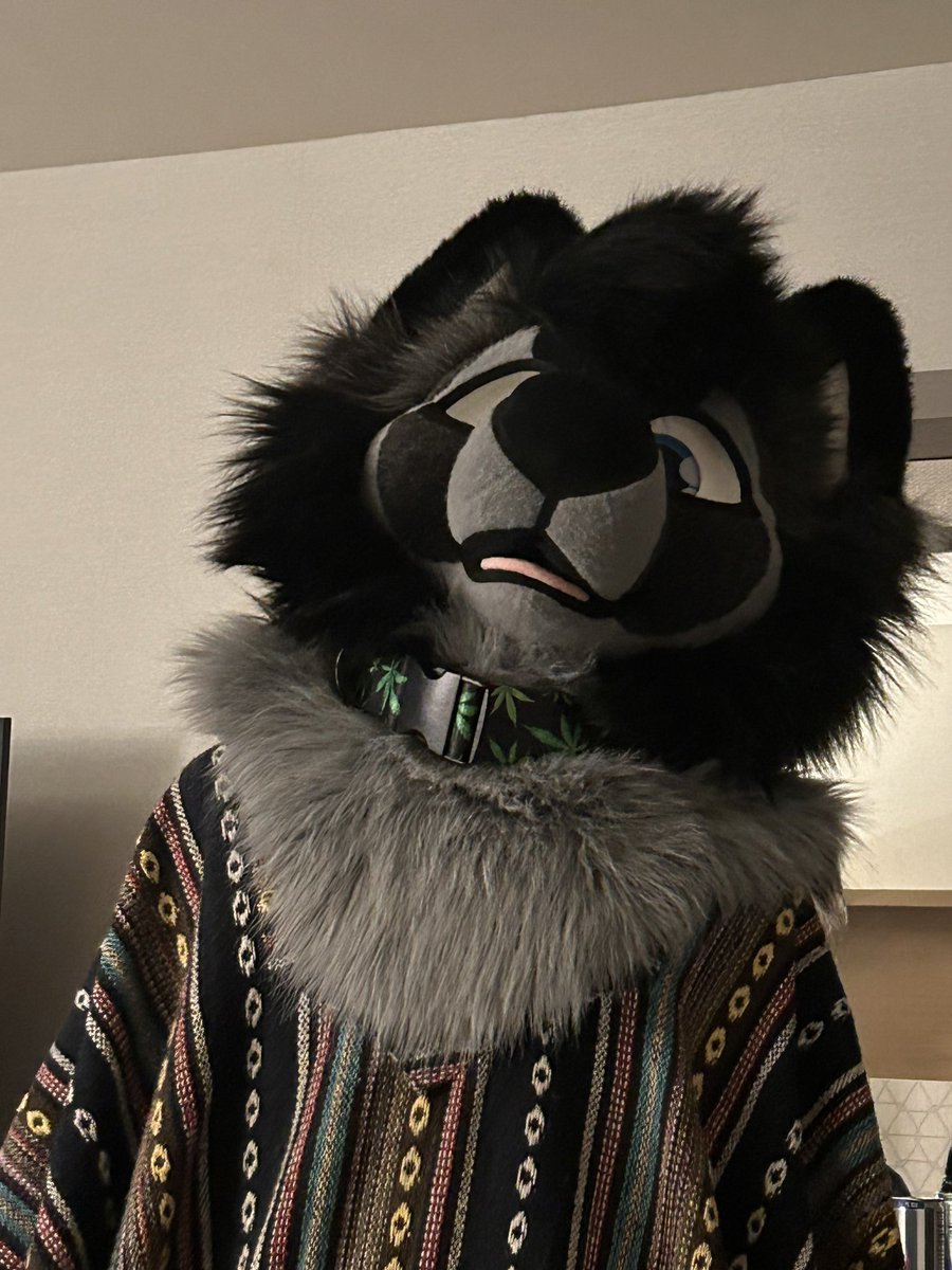 poncho puppy #FursuitFriday
