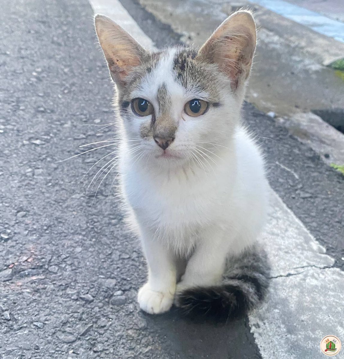 kcg! pagi pagi udah disuruh jogging padahal aku masih ngantuk kak