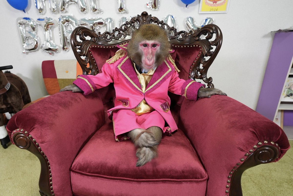 今年は誕生日プレゼントに、カイくんに相応しい「アンティークソファ