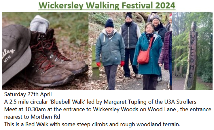 #saturdaychallenge walk with Wickersley Walking Festival 2024
 
Full details below - meet to start walking at 10.30am

#walkingfestival #walk #familytime #walkforhealth #walkingtogether #winthrop #wickersley #bluebells