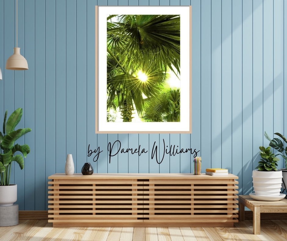 Advice from a Palm: Soak up the sun, Stand tall and proud, remember your roots, drink plenty of water, be content with your natural beauty, enjoy the view! GET IT: bit.ly/3QTN5OF #palm #sunrays #potd #green #potd #homedecor #interiordesign #photography #aYearForArt