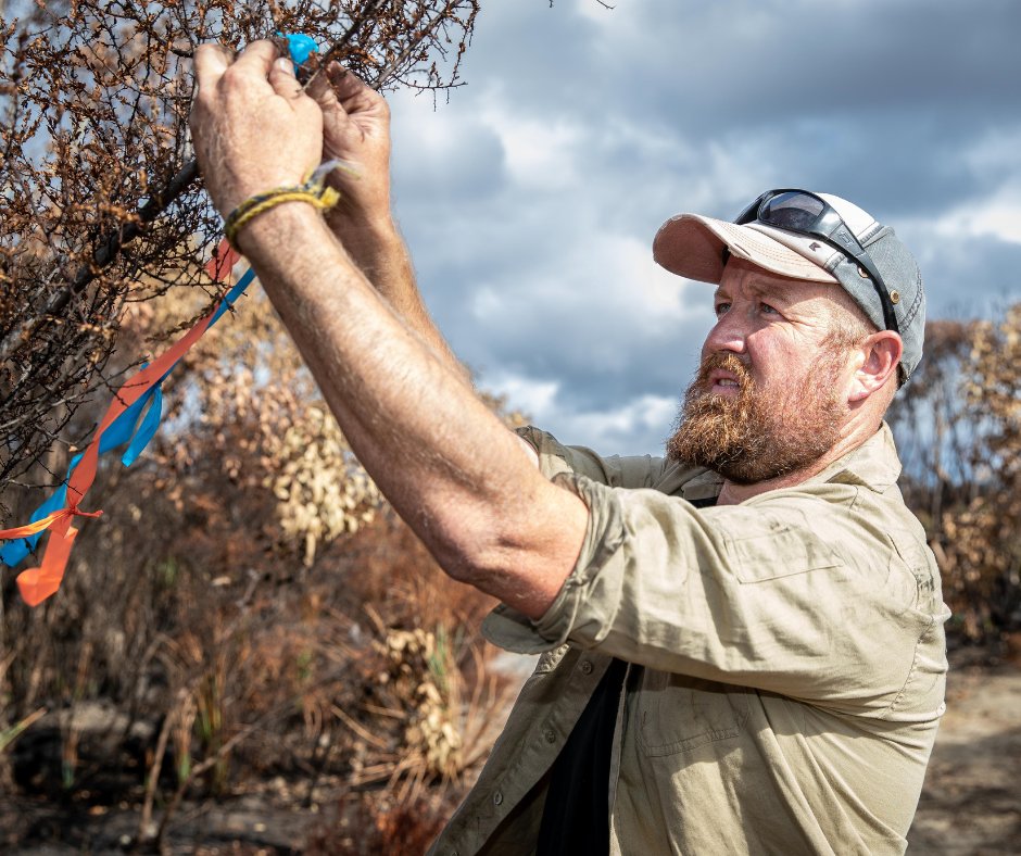 awconservancy tweet picture