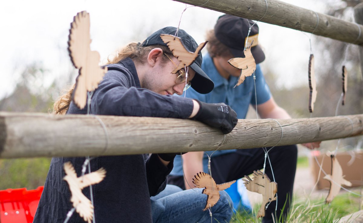 Flight of Daedalus, a design & outreach outdoor art installation created by ACC students in partnership with @COhighlinecanal & @outdoorarts, will be on view from May 2 – Oct. 20. Artist reception (please RSVP) is May 2 from 4pm-6pm. #localart moaonline.org/acc2024/