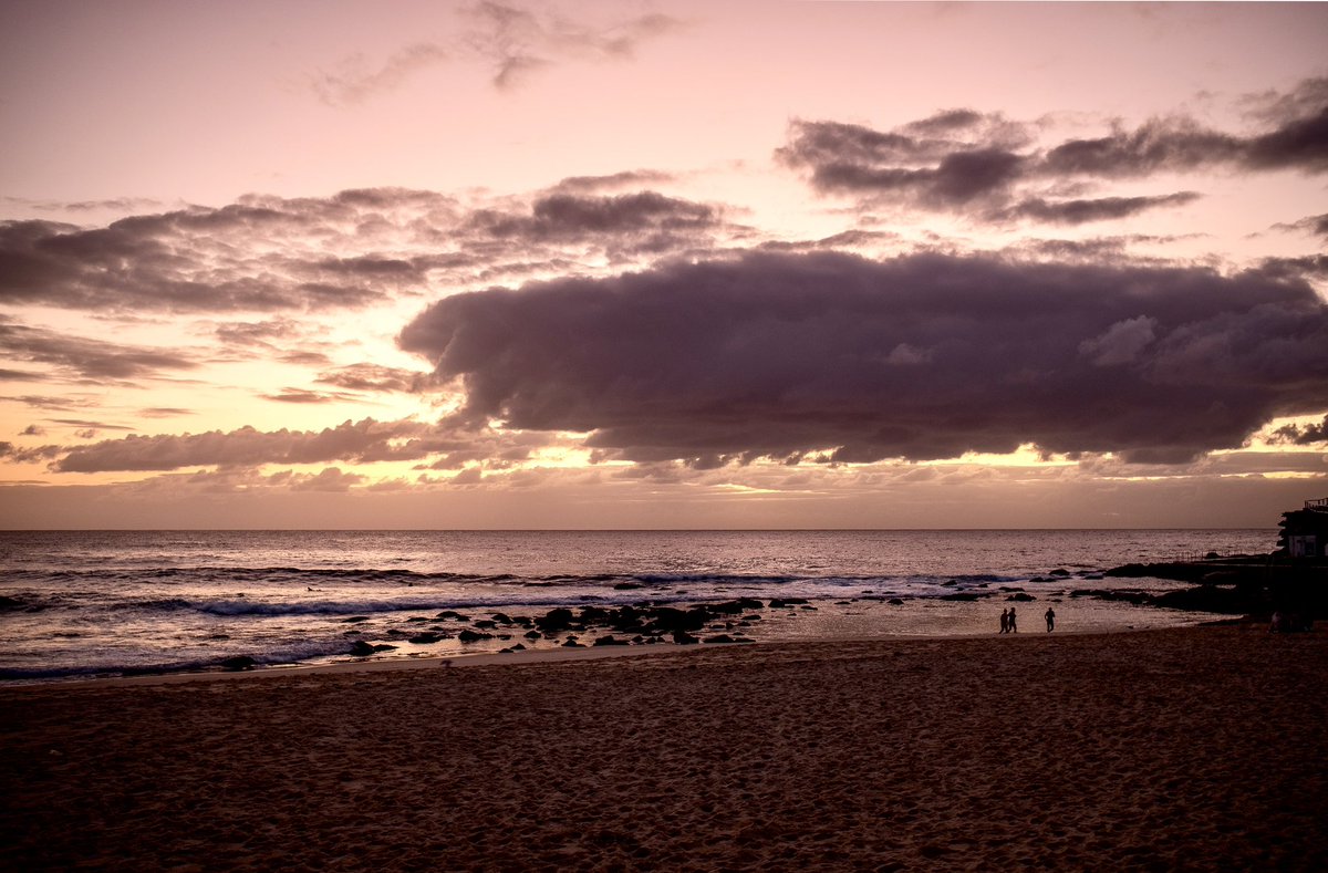 While Sydney has greyed over now, dawn at the Bogey Hole at Bronte Beach was a delight and tempting to these three. They decided against a dip. The construction of the hole pre-dates white arrival and is a must visit when the water is warm and the tide favourable.