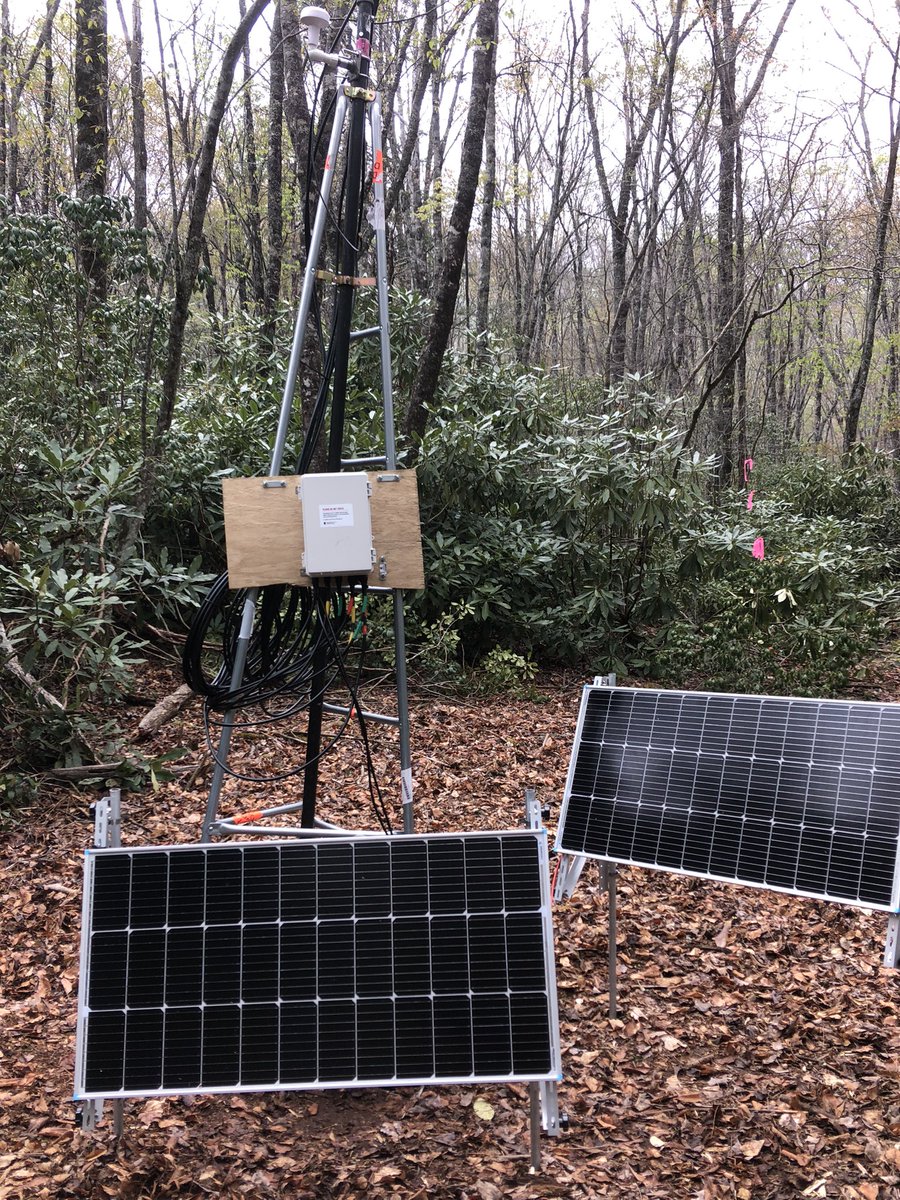 Doofgradstudent's tweet image. Built 3 #motus pop-up towers in 3 (very long, very muscle-aching) days! Hoping to capture elevational movements of warblers and other tropical migrants that breed on site. Now if only all this work were for my actual job 🤣