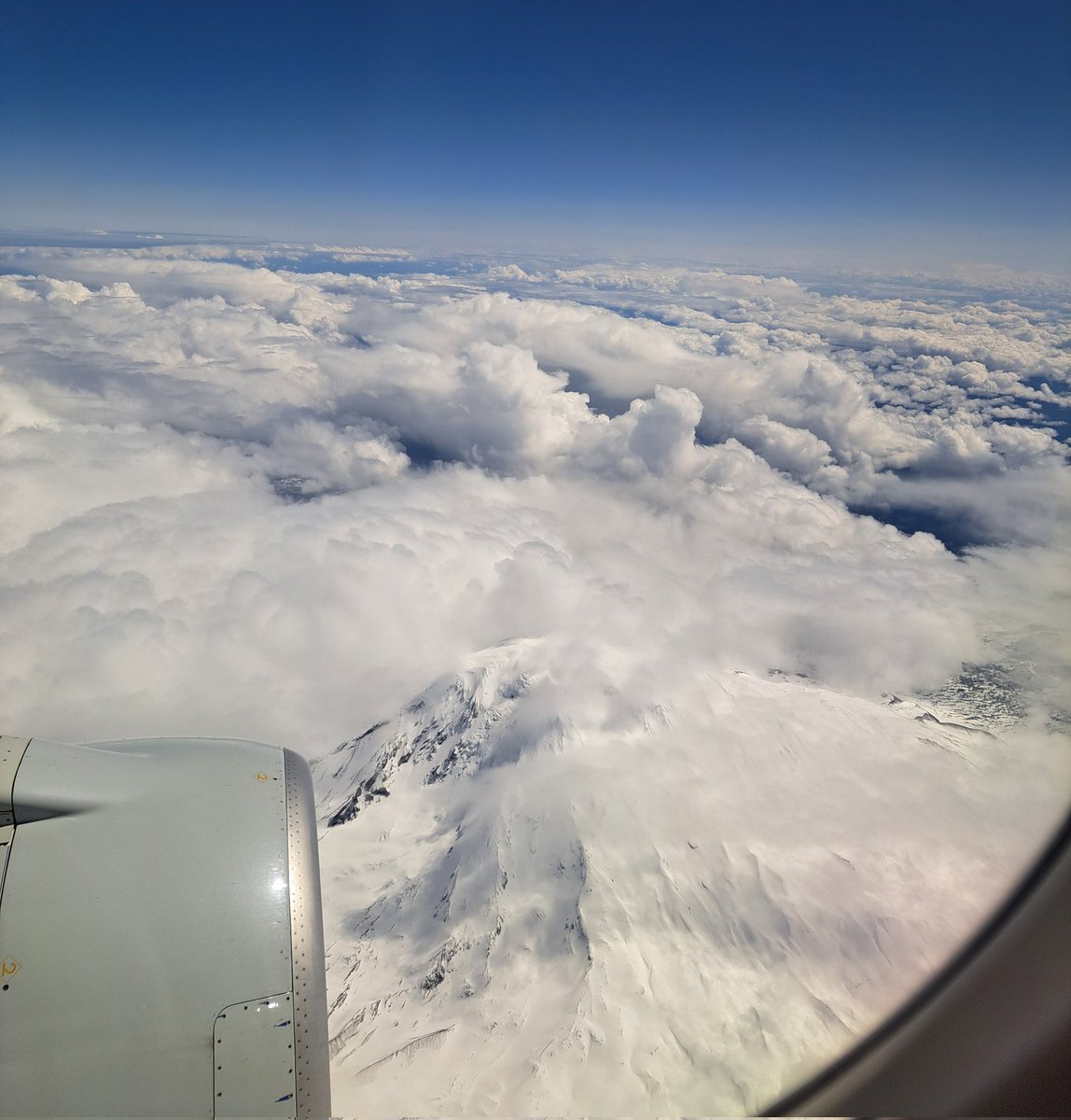 BirkelChristina's tweet photo. #S24MRS was full of spending time with dear friends, discussions with colleagues near and far, learning about exciting research and making new connections.
I enjoyed some cool #flightviews on the way back. Good bye snowy mountains. Hello desert& @ASU campus.
#travelingscientist https://t.co/aTK0BhkfYZ