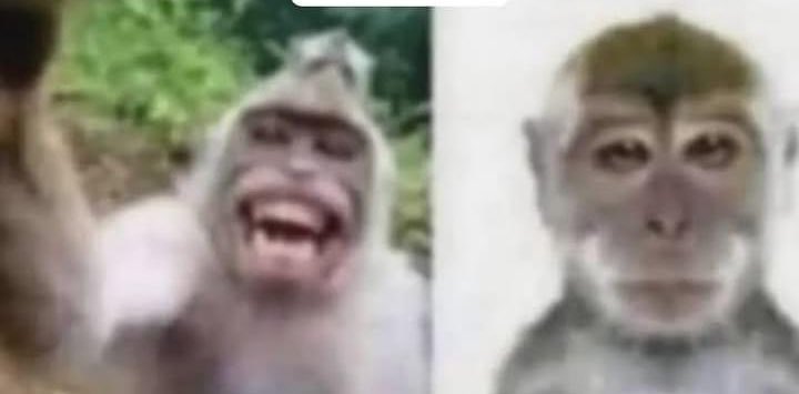 cuando el face ID no agarra y me tengo que cuadrar