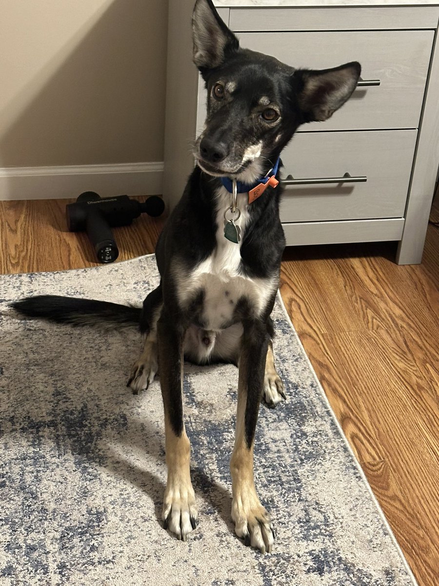 Beth Carpenter | TDS Weather tweet media