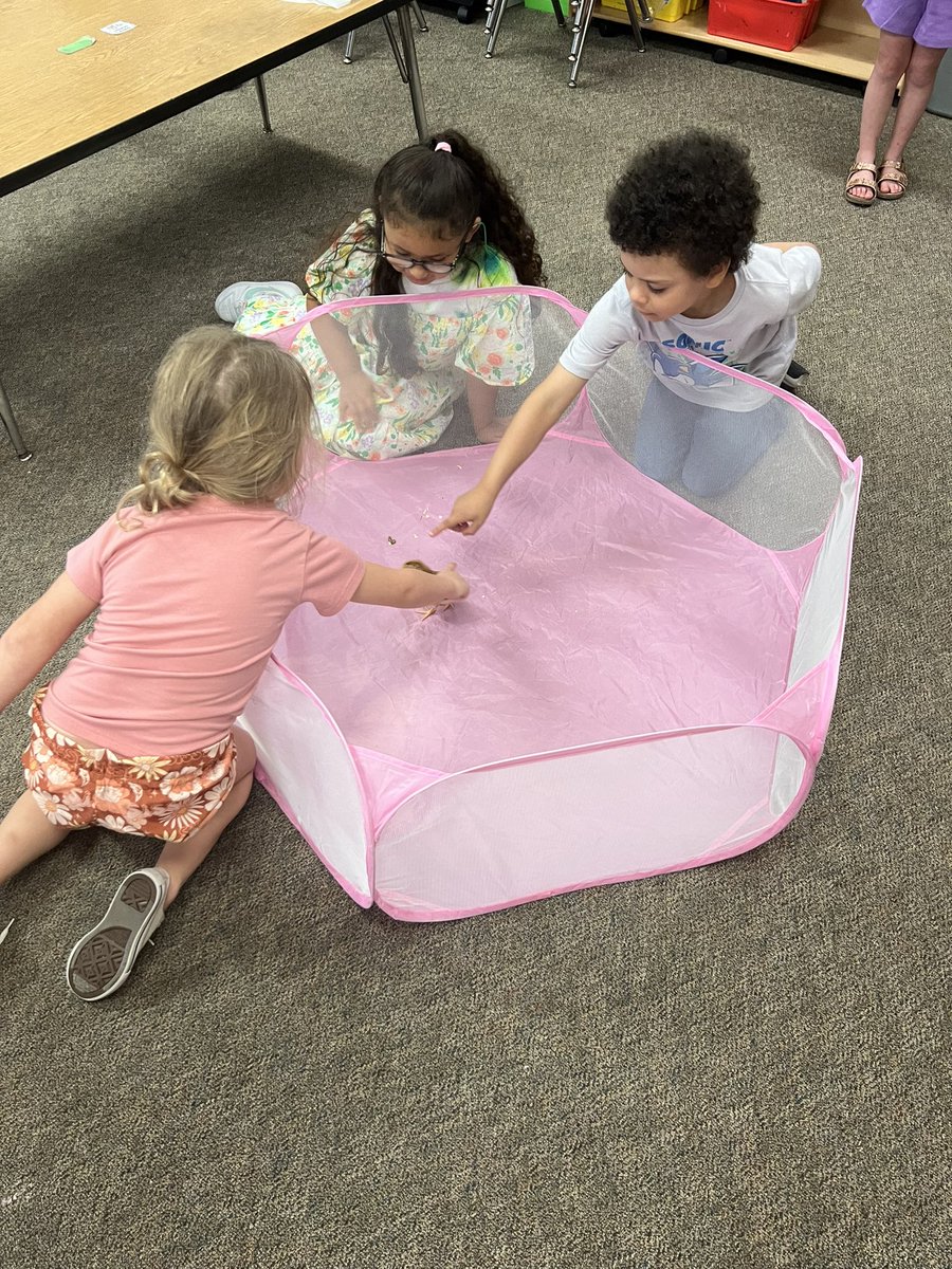 Thank you <a href="/Humble_Science/">Humble ISD Elementary Science</a> for providing us the opportunity to experience the life cycle of a chicken in real life. It was hard to say goodbye to our baby chicks today. 🐥<a href="/HumbleISD_TE/">Timbers Elementary</a>