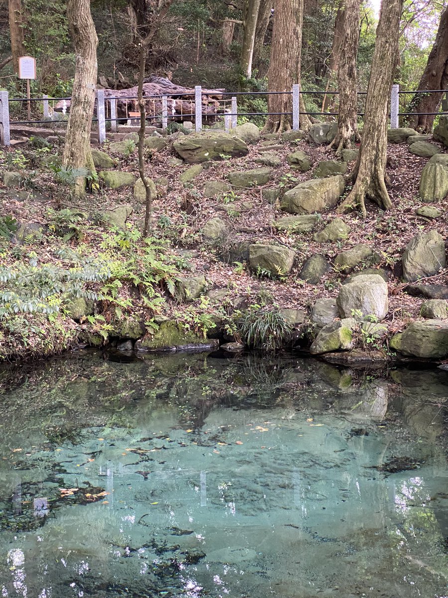 泉神社⛩️神社ソムリエ曰く、今年の開運神社。湧水がグツグツと吹き出している