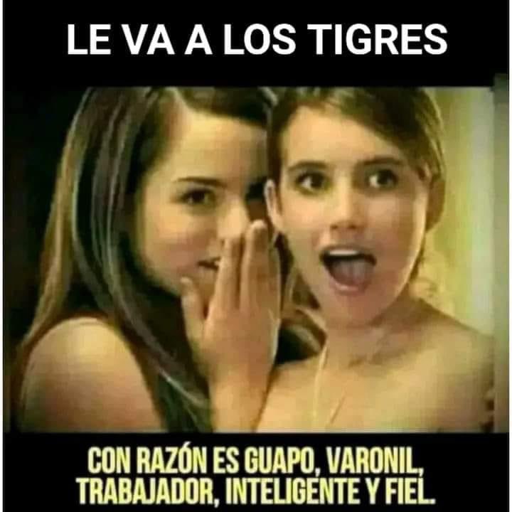 Aquí puro #PerfilTigre 
#EstoEsTigres