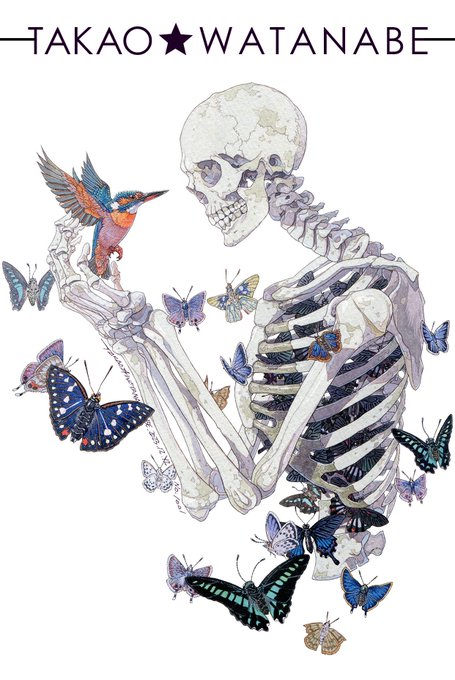 「skull」 illustration images(Latest｜RT&Fav:50)｜3pages