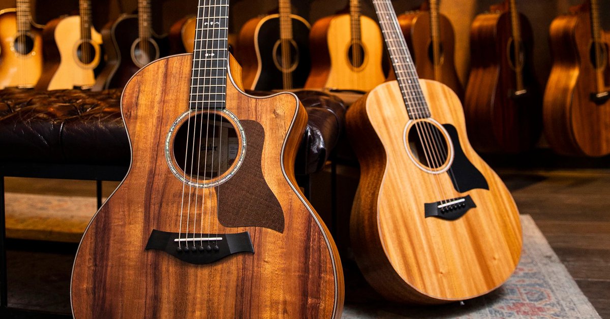 In its 50 years of excellence, @TaylorGuitars has been an industry leader in craftsmanship, innovation and sustainability! Get the full story in our guide: ow.ly/tVEs50RmMqn